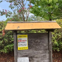 画像245
