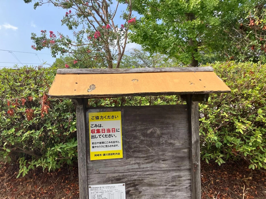 画像245