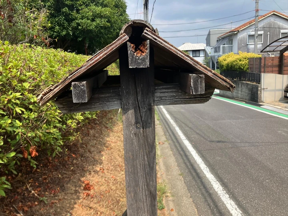 画像246