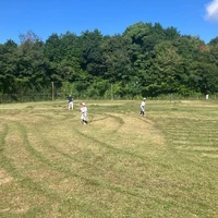 画像250