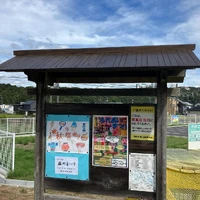 画像257