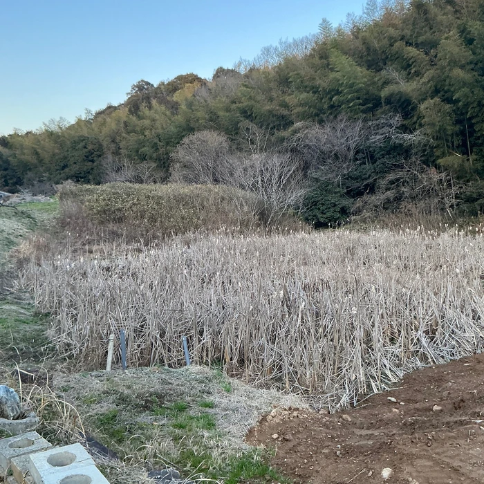 画像297
