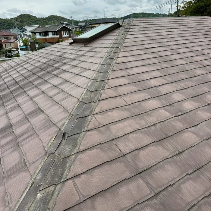 画像321